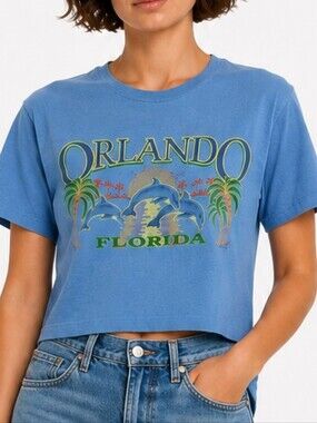 Womens vintage Hanes Tourist short sleeve size L Large graphic T-Shirt blue